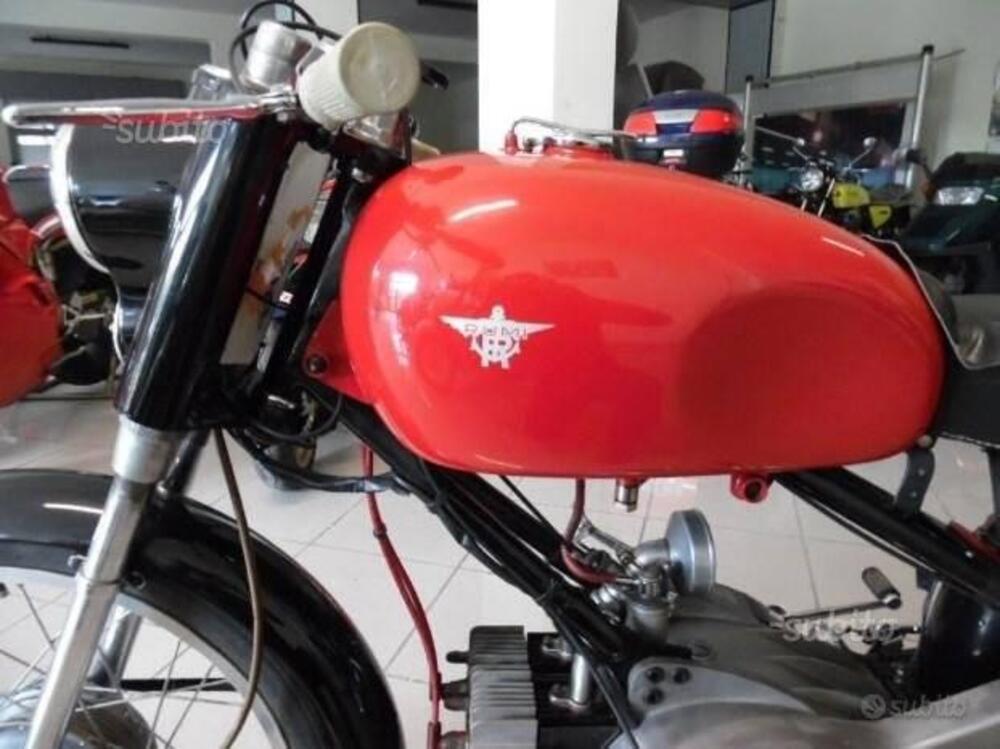 Rumi Altro modello (4)