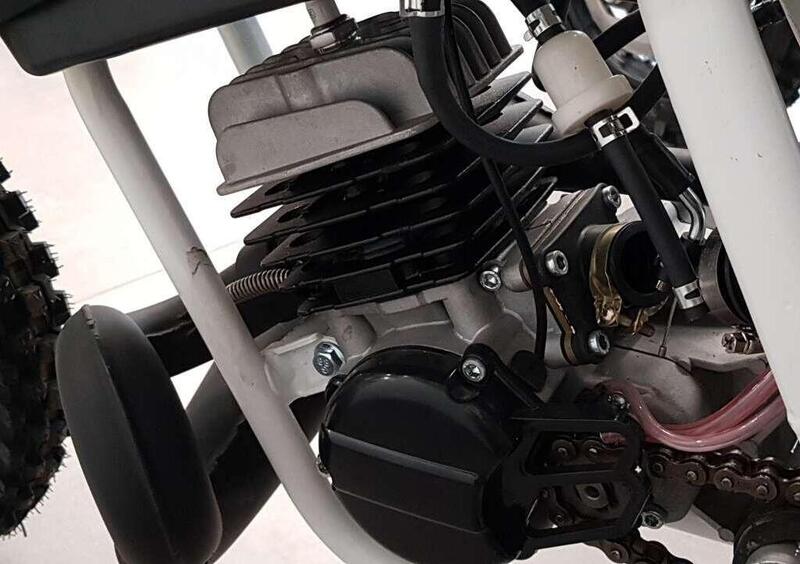 Lem Motor Cross 50 Cross 50 10/10" 2020 (6)