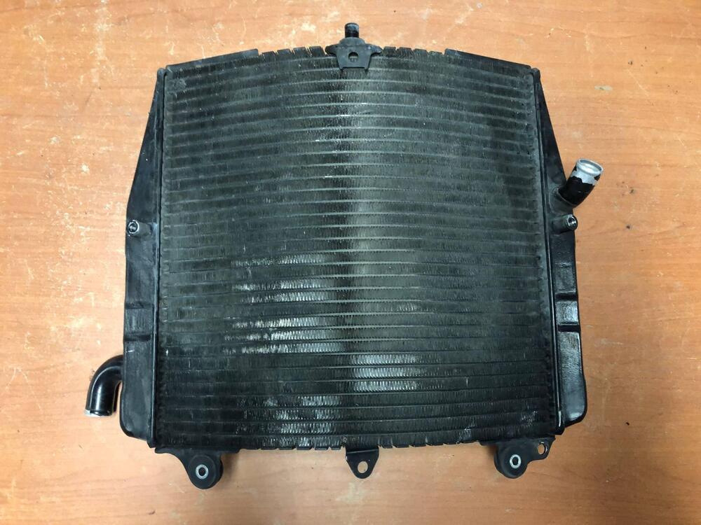 Radiatore per Suzuki RF 600 R