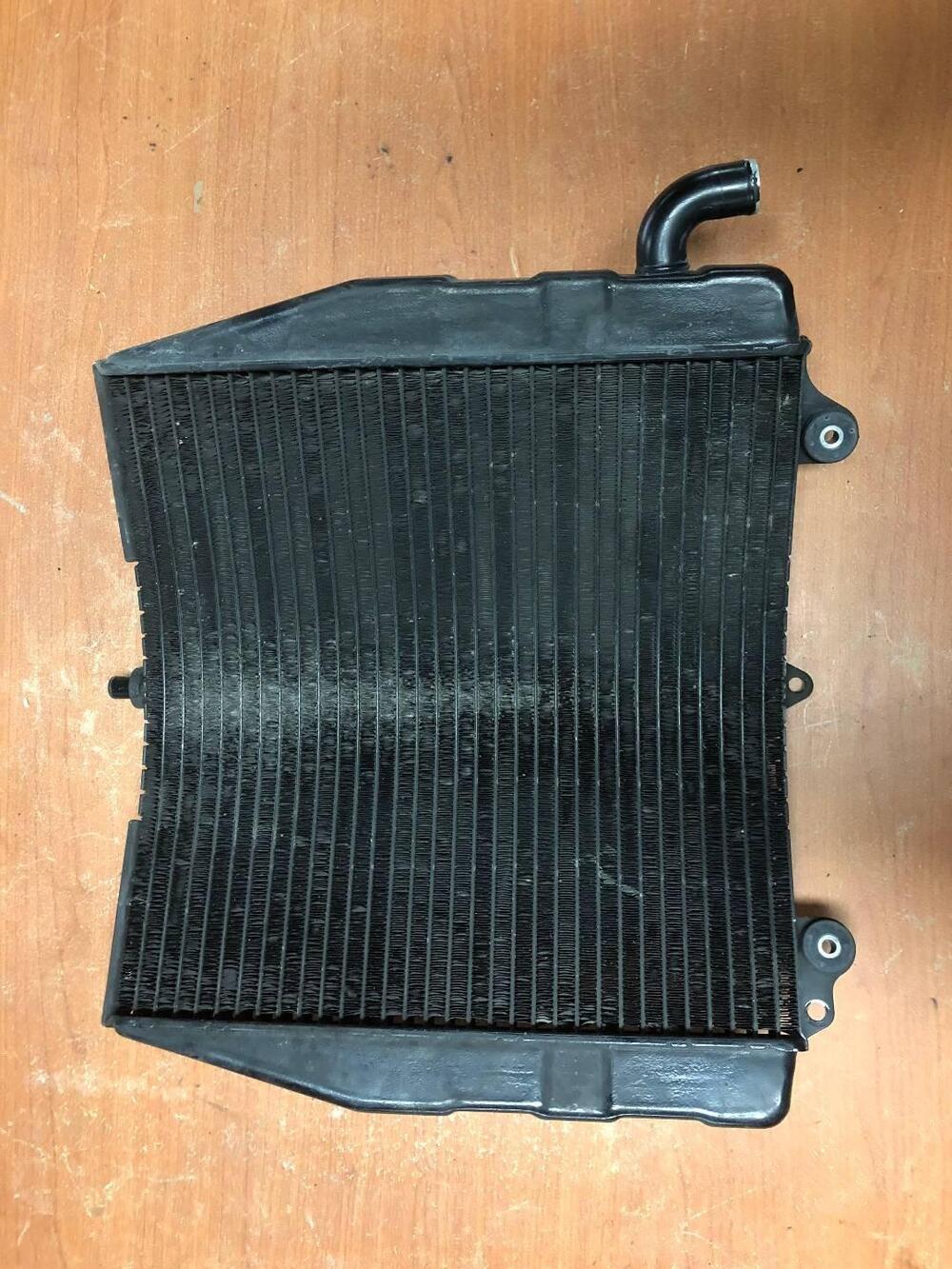 Radiatore per Suzuki RF 600 R (3)