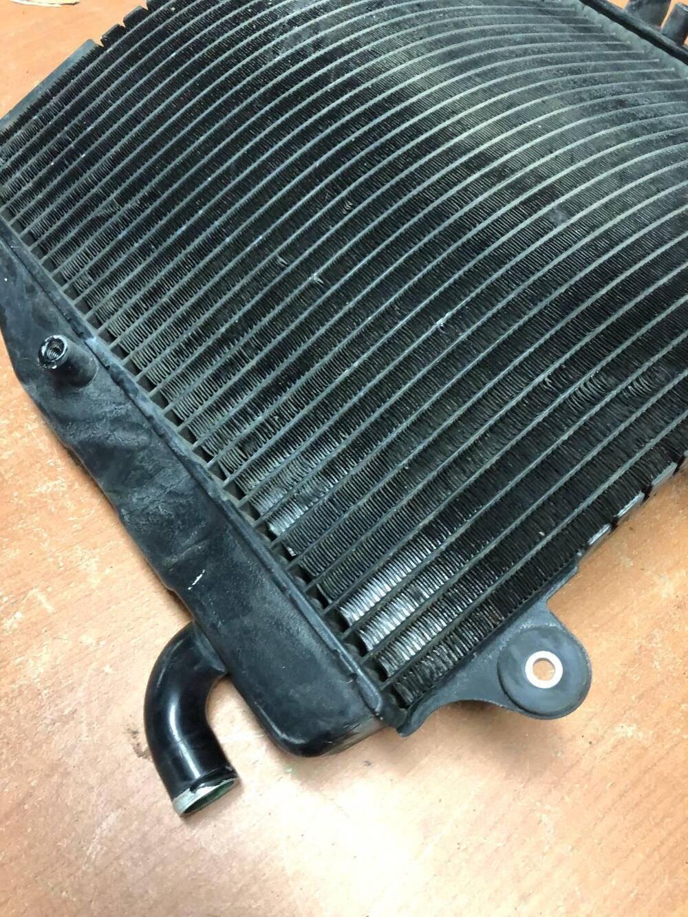 Radiatore per Suzuki RF 600 R (2)