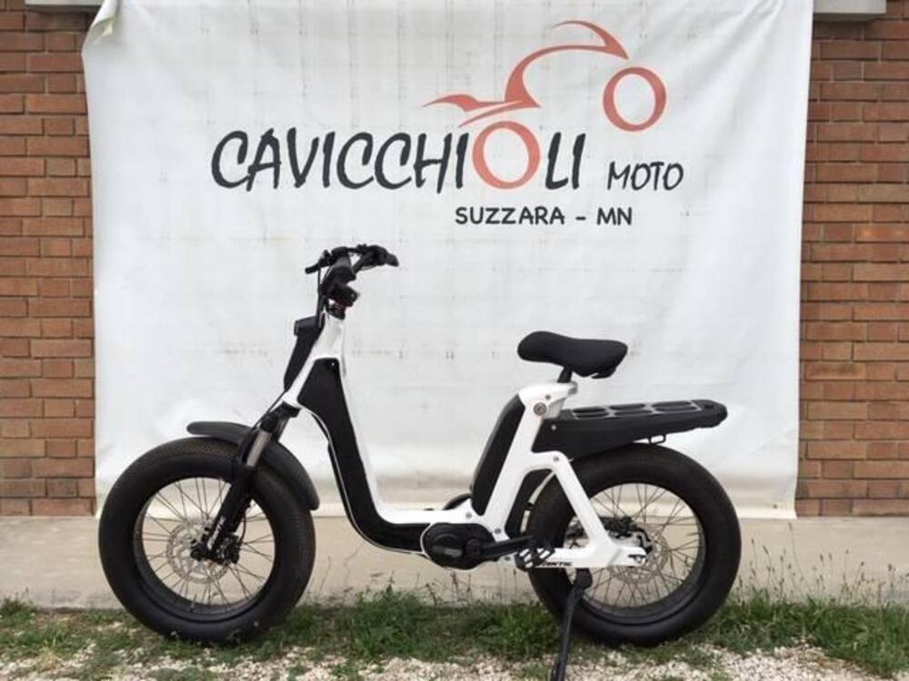 Fantic Motor Issimo (2019 - 23) (13)