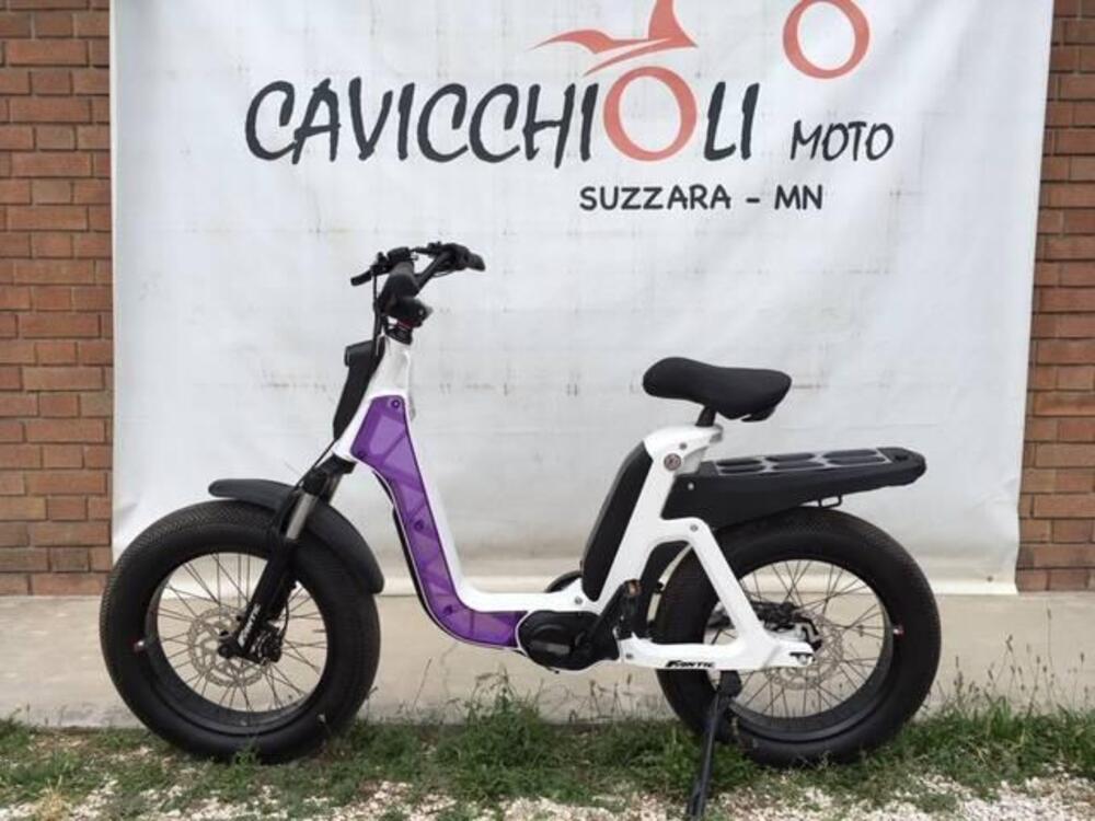 Fantic Motor Issimo (2019 - 23) (16)