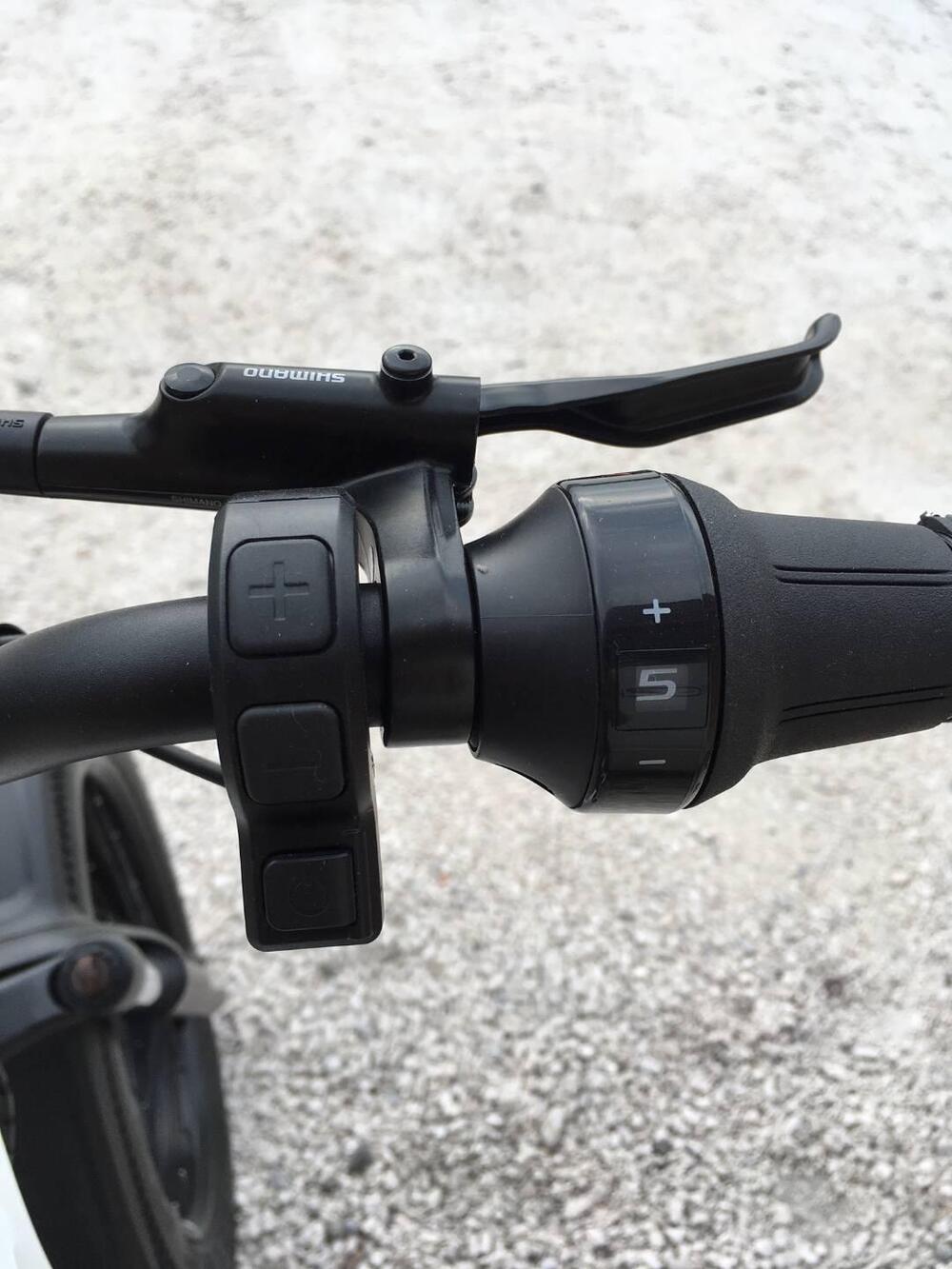 Fantic Motor Issimo (2019 - 23) (7)