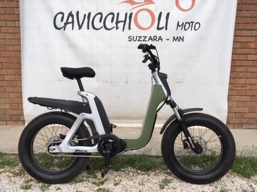 Fantic Motor Issimo (2019 - 23) (14)