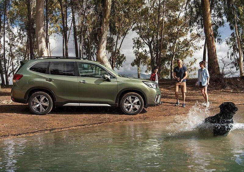 Subaru Forester (2019-24) (26)