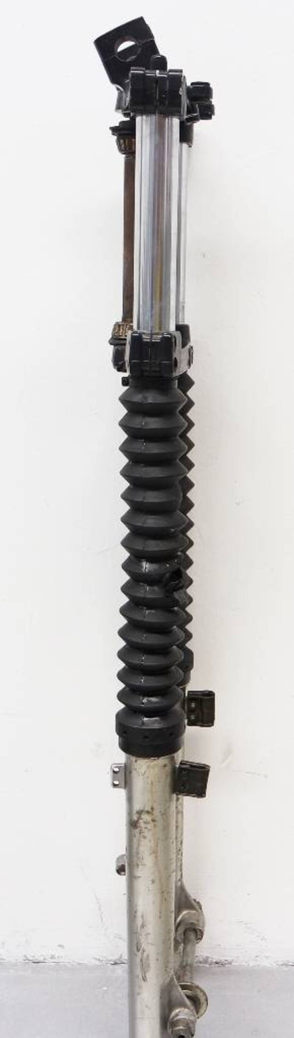 Forcella Completa Kawasaki (2)