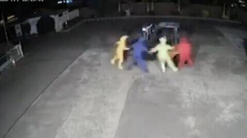 Rubano un muletto travestiti da Teletubbies [VIDEO]