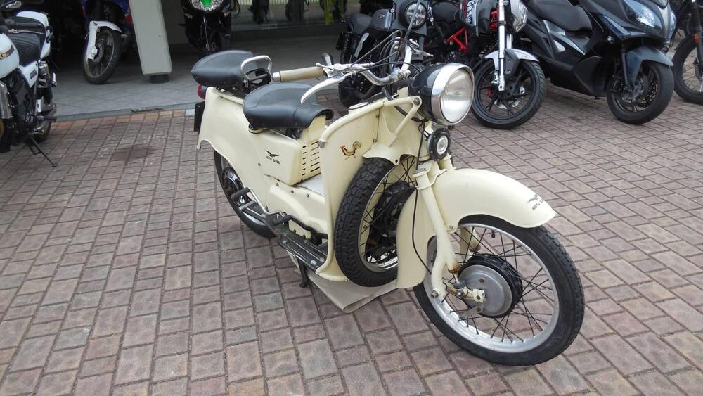 Moto Guzzi GALLETTO 192 (3)