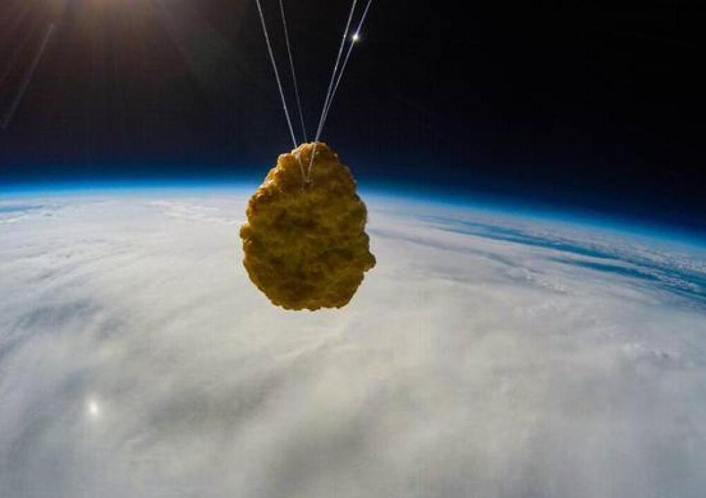 Una crocchetta di pollo &egrave; stata lanciata nello spazio
