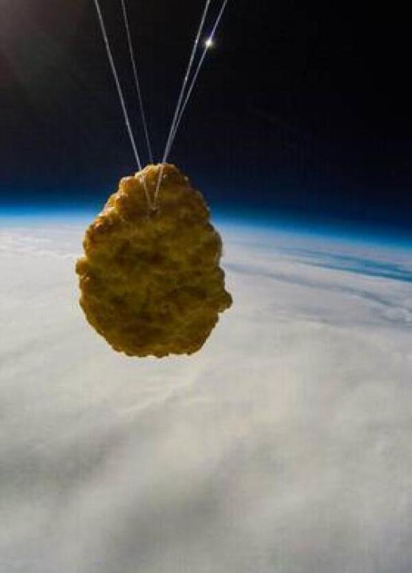 Una crocchetta di pollo &egrave; stata lanciata nello spazio