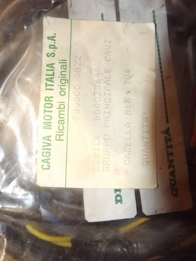 gruppo principale cavi cagiva