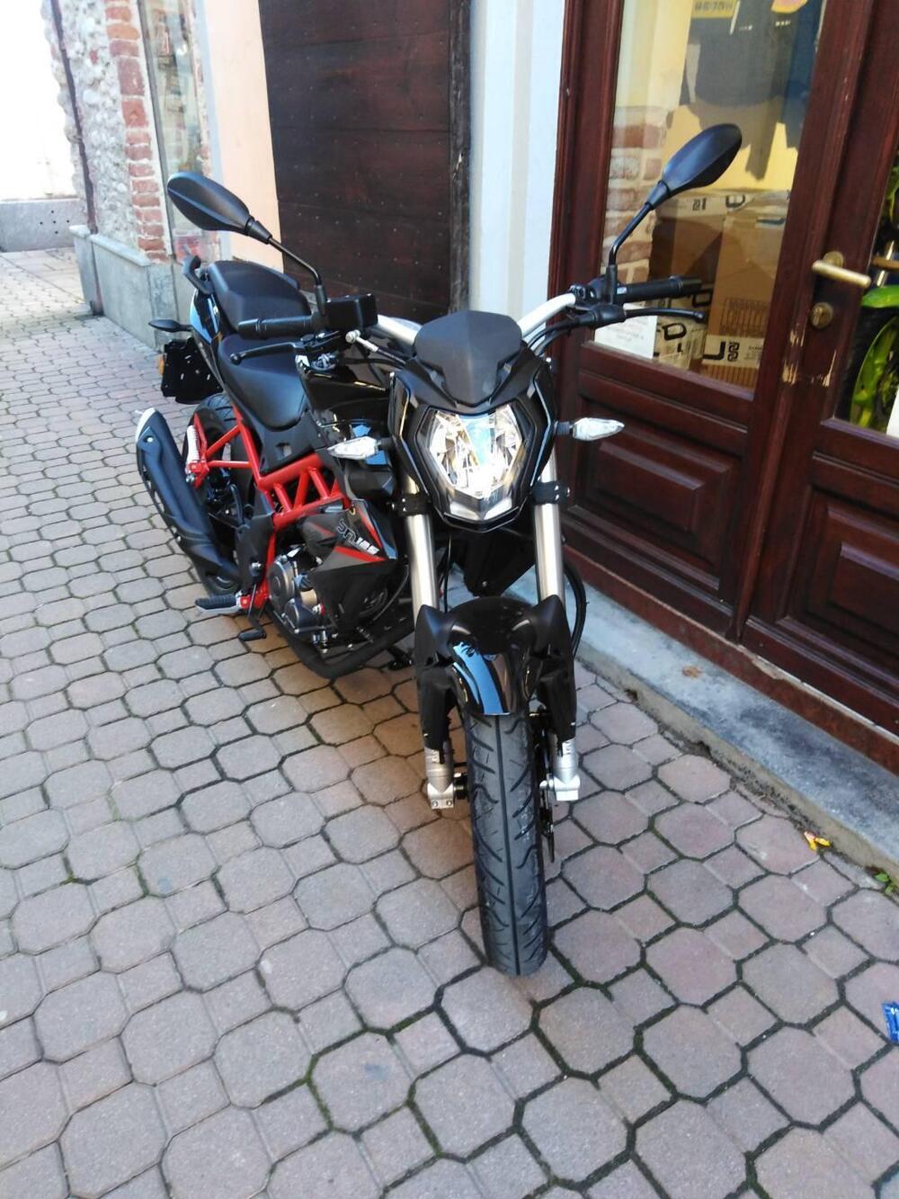 Benelli BN 125 (2021 - 25) (5)