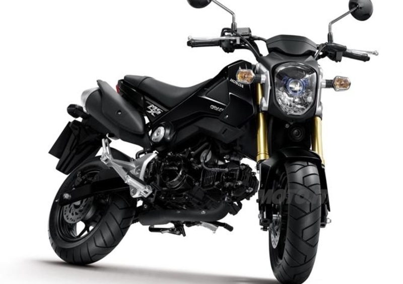 Nuova Honda MSX125. Arriva in Italia la moderna Monkey!