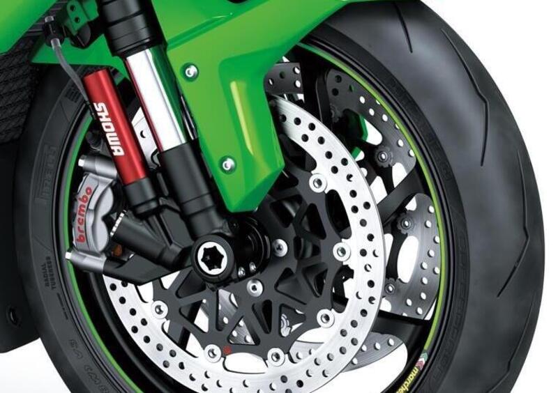 Kawasaki Ninja 1000 ZX-10RR Ninja 1000 ZX-10RR (2021 - 23) (3)