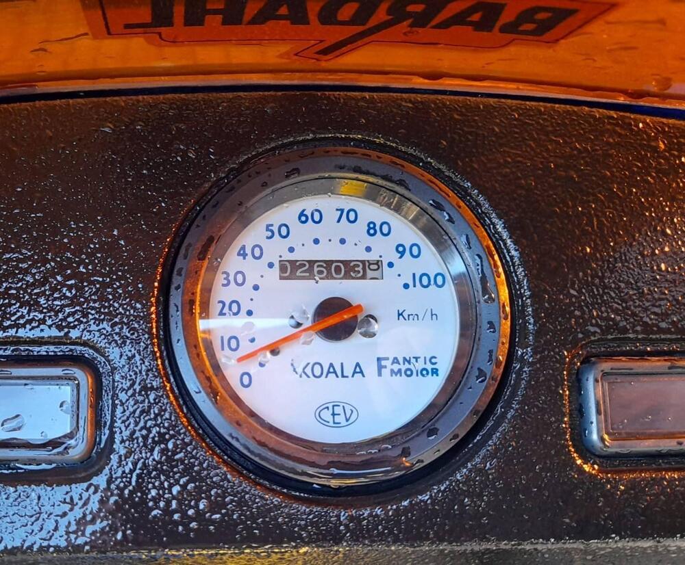 Fantic Motor KOALA 50 (6)