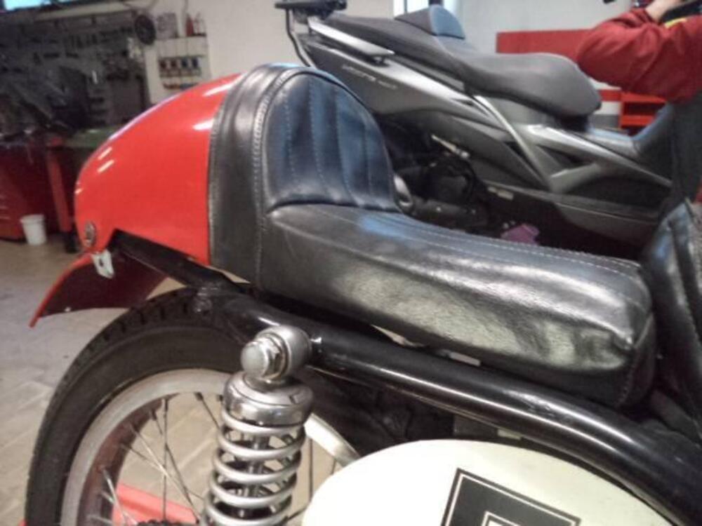 Gilera SATURNO CORSA (11)