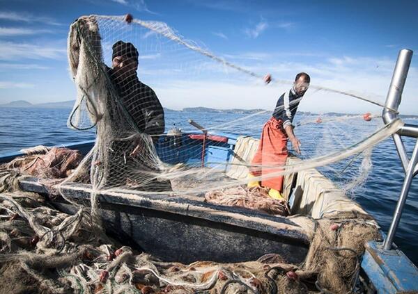Dalla &quot;Guerra del pesce&quot; al ricatto libico: perch&eacute; a pagare sono 18 pescatori 