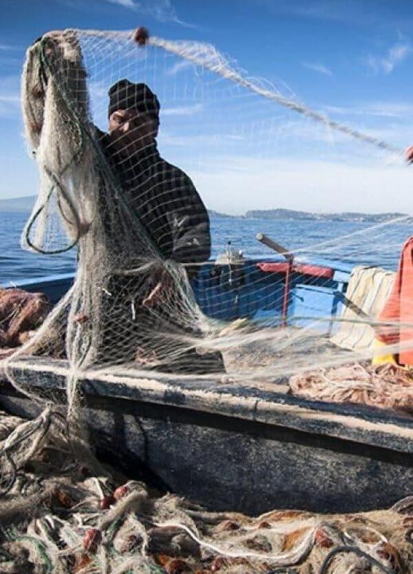 Dalla &quot;Guerra del pesce&quot; al ricatto libico: perch&eacute; a pagare sono 18 pescatori 