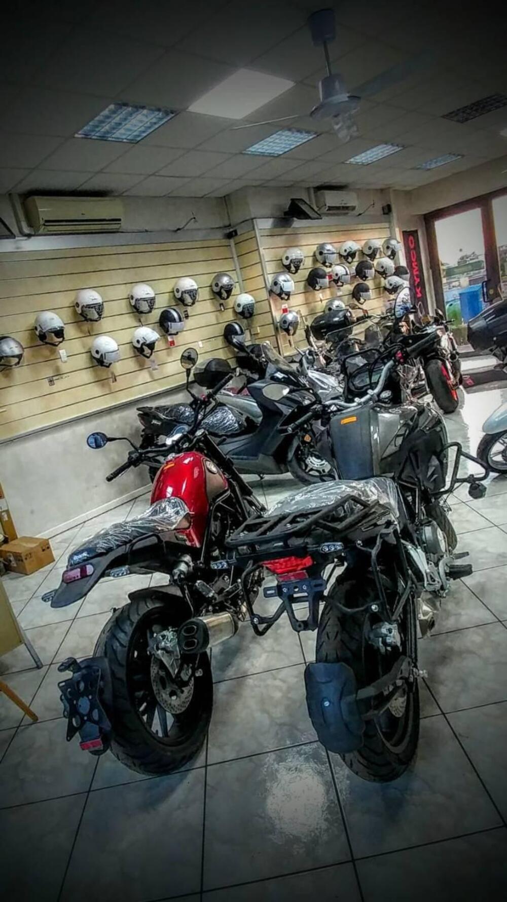 Benelli Leoncino 500 Trail (2021 - 25) (8)