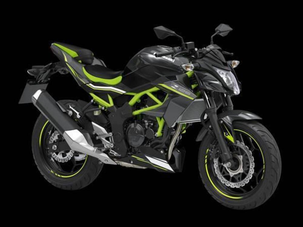 Kawasaki Z 125 Performance (2019 - 20) (2)