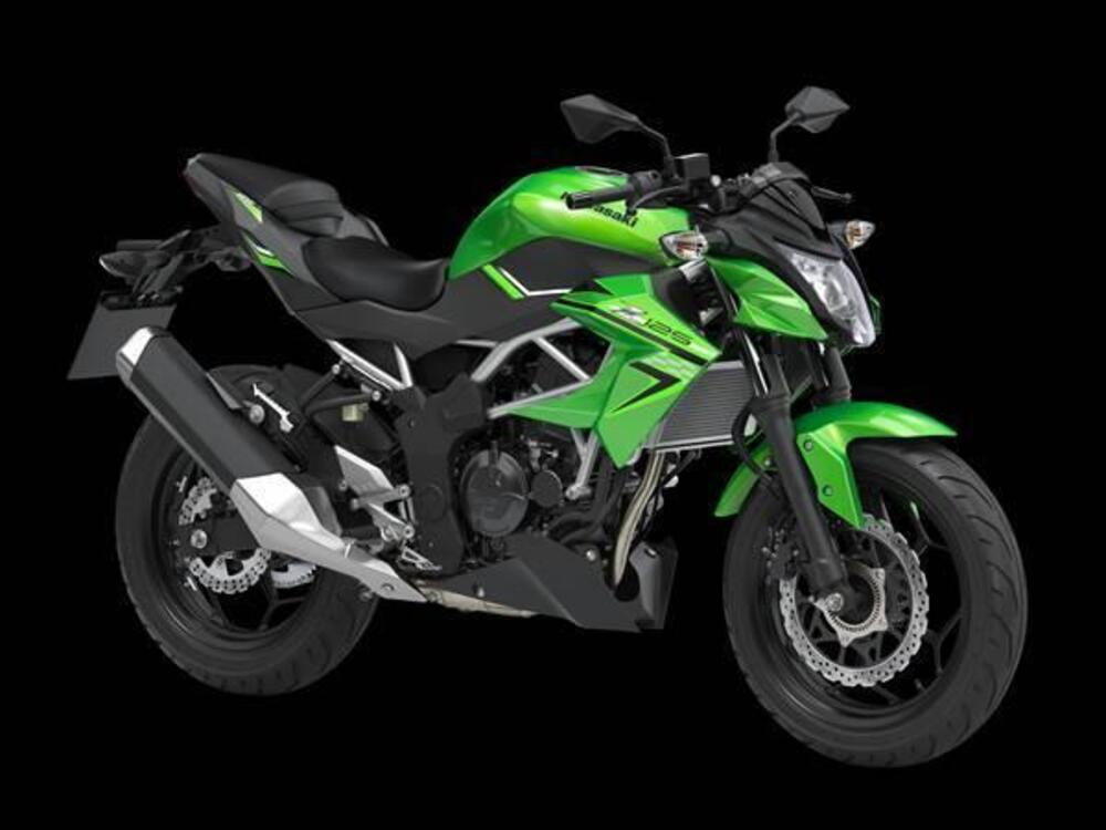 Kawasaki Z 125 Performance (2019 - 20) (3)