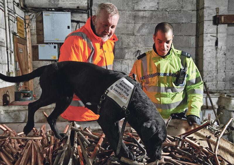 Cani poliziotti sulle tracce dei ladri di moto