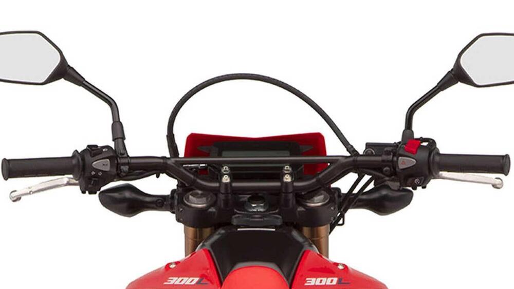 Honda CRF 300 L (2021 - 24) (6)