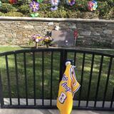 La tomba di Kobe Bryant a Los angeles 8