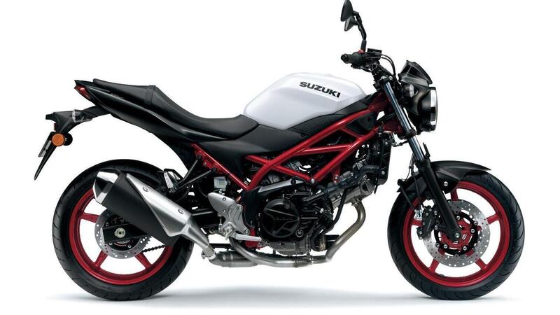 Suzuki SV 650 m.y. 2021. Arriva in Italia, colori e prezzo