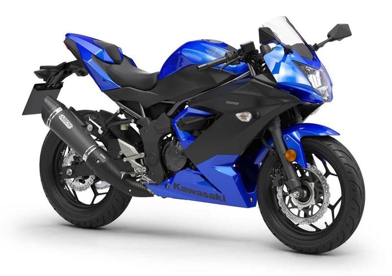 Kawasaki Ninja 125 Ninja 125 Performance (2021 - 24) (3)