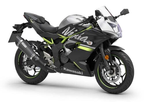 Kawasaki Ninja 125 Performance (2021 - 24)