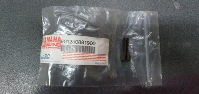 VITE REGISTRO FRIZIONE YAMAHA PER TZR-TT-SZR