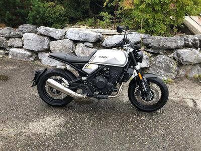 Brixton Motorcycles Crossfire 500 X (2021 - 25) usata