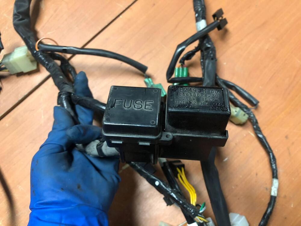 Impianto elettrico Suzuki SV 650 S '99-'02 (2)