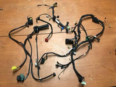 Impianto elettrico Suzuki SV 650 S '99-'02