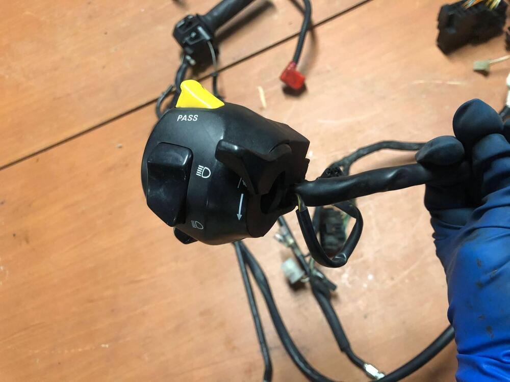 Impianto elettrico Suzuki SV 650 S '99-'02 (3)