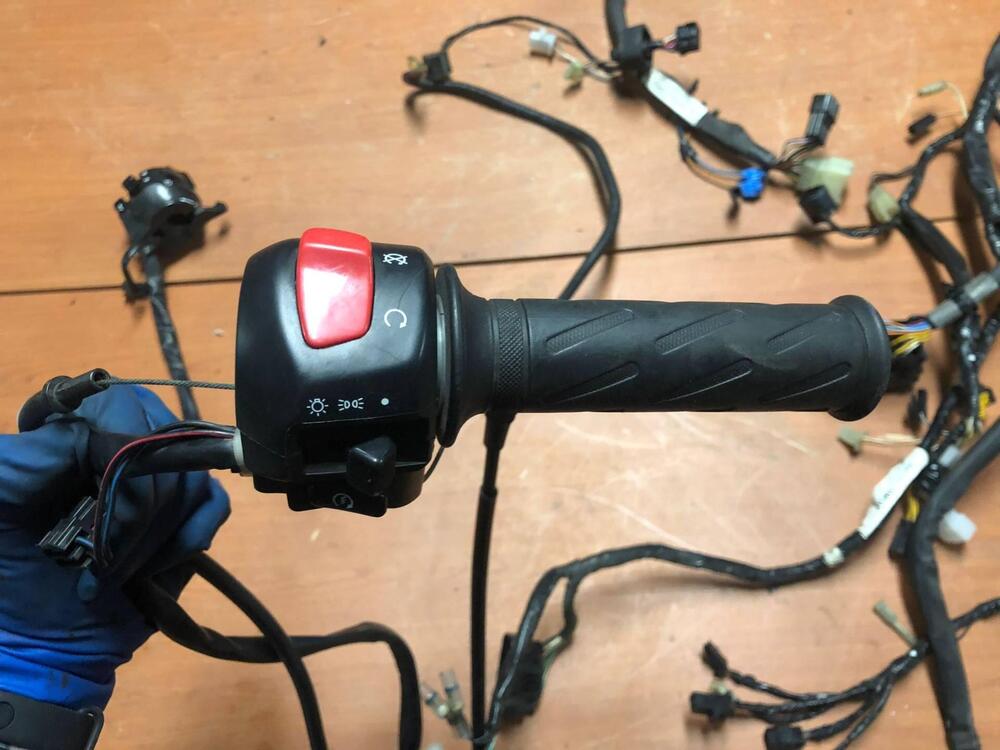 Impianto elettrico Suzuki SV 650 S '99-'02 (4)