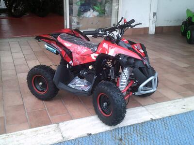  Altre moto o tipologie Quad nuova