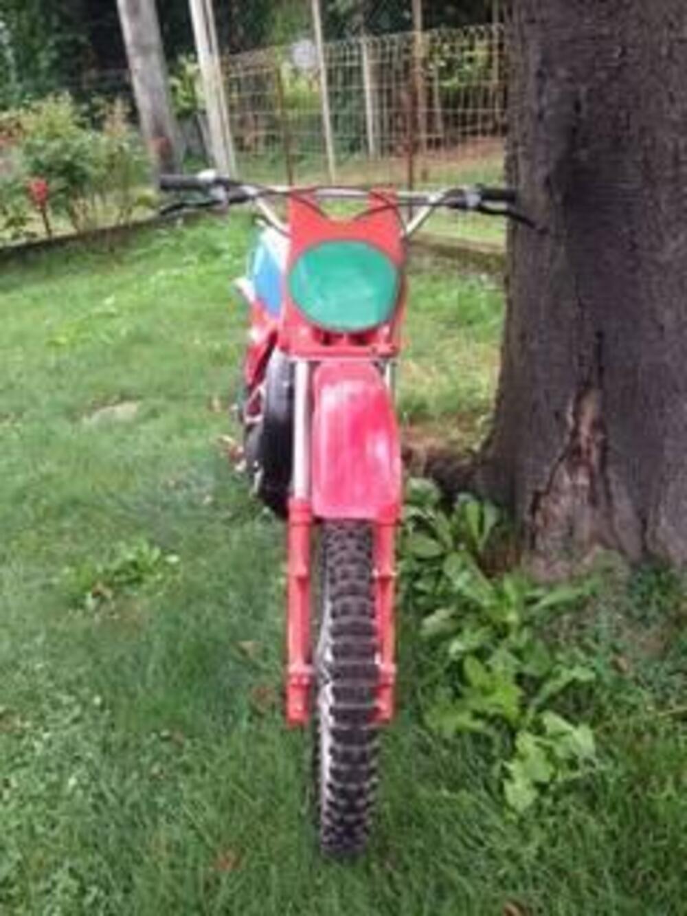 Betamotor cr 250 (2)