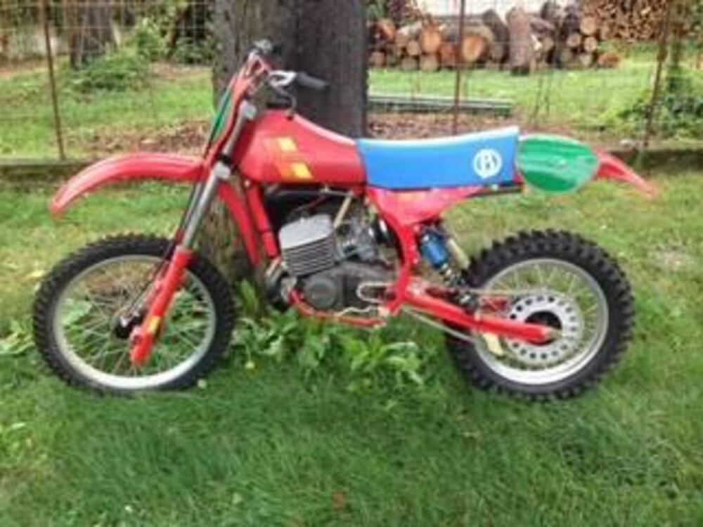 Betamotor cr 250 (4)