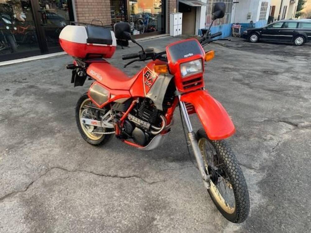 Aprilia ETX 350 (1985 - 89) (5)