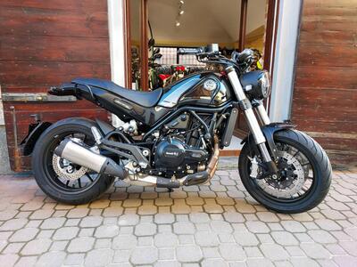 Benelli Leoncino 500 (2021 - 25) nuova