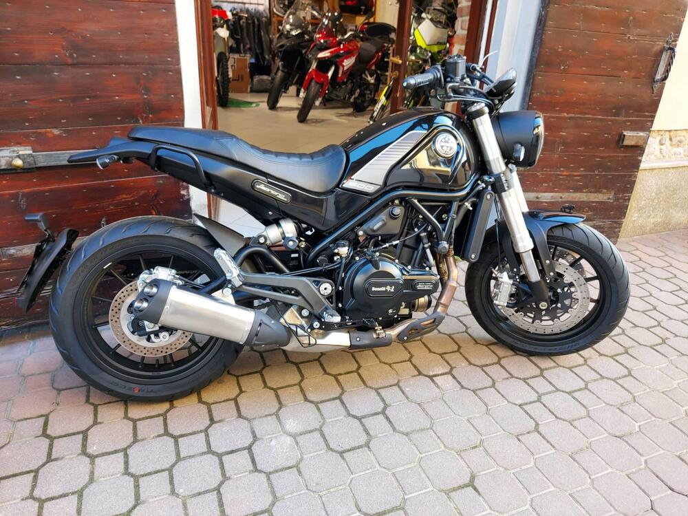 Benelli Leoncino 500 (2021 - 25) (6)