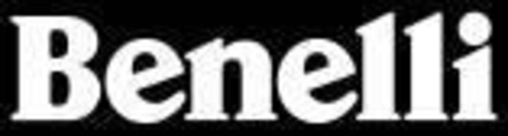 Benelli Leoncino 500 Trail (2021 - 25) (4)