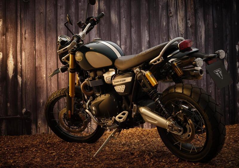 Triumph Scrambler 1200 Scrambler 1200 Steve McQueen Edition (2021 - 22) (8)