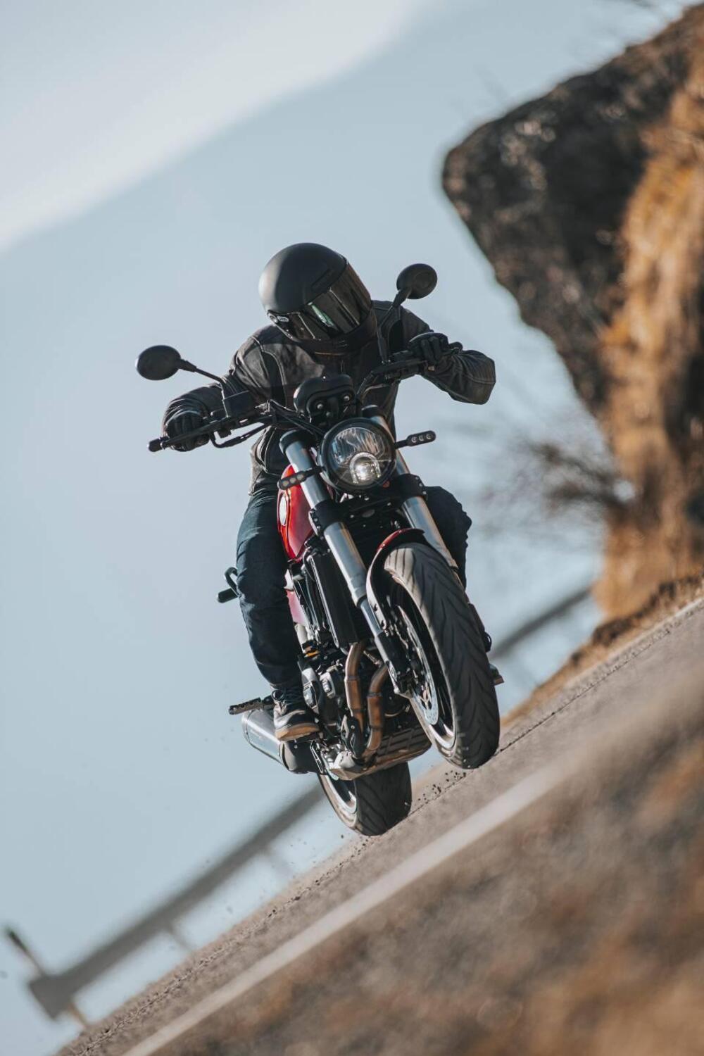 Benelli Leoncino 500 (2021 - 25) (4)