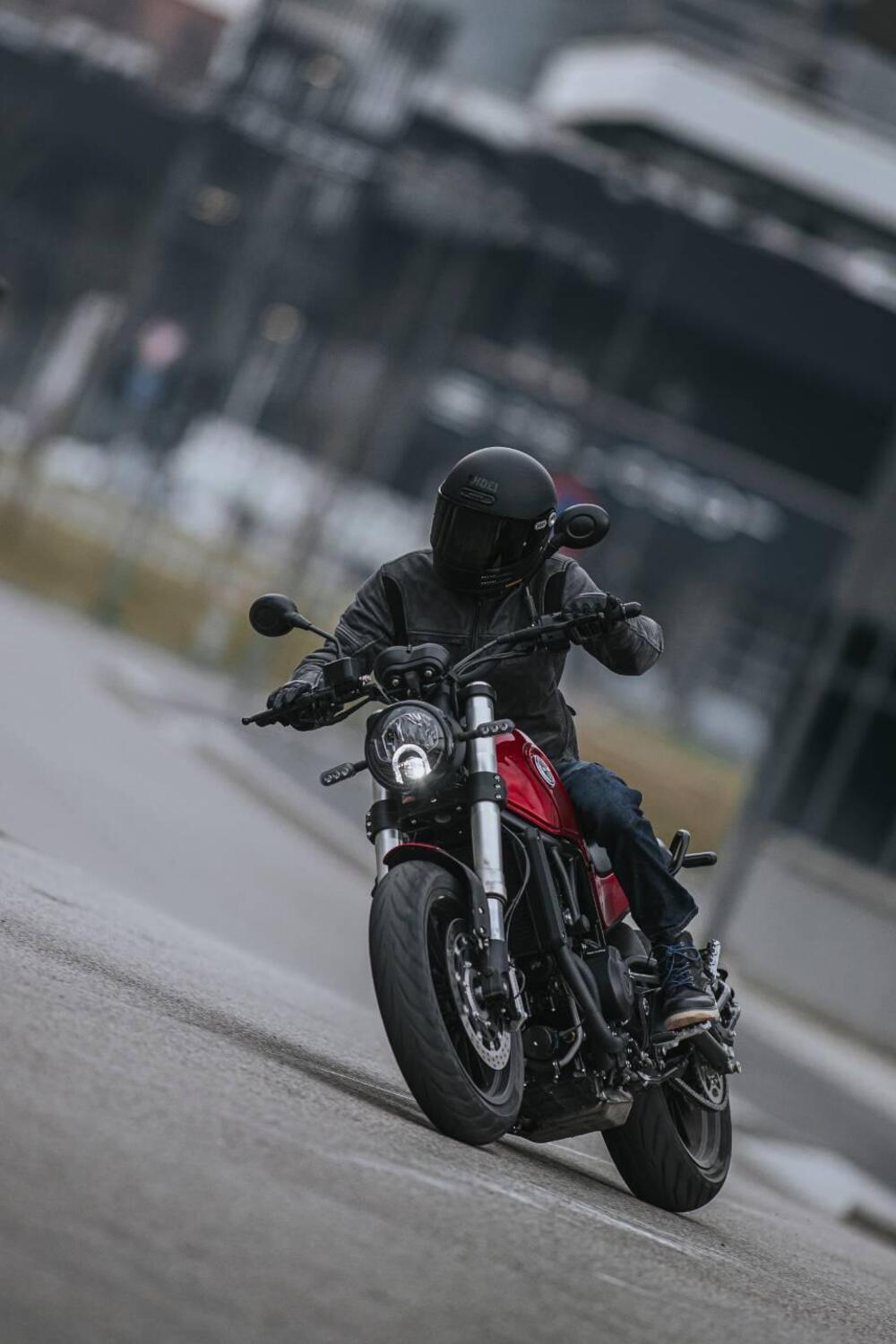 Benelli Leoncino 500 (2021 - 25) (2)