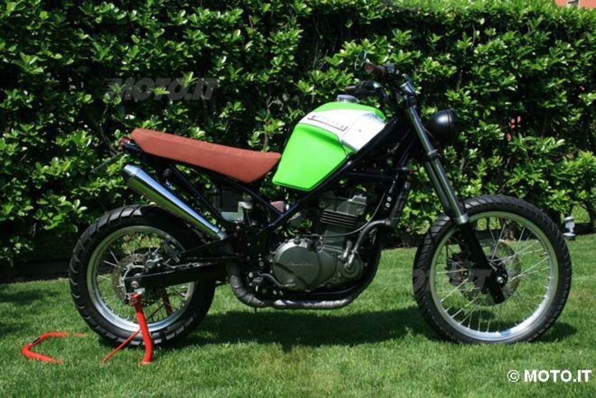 Bike Gpz 500 Scrambler Kawasaki Gpz 500 Scrambler Clearance