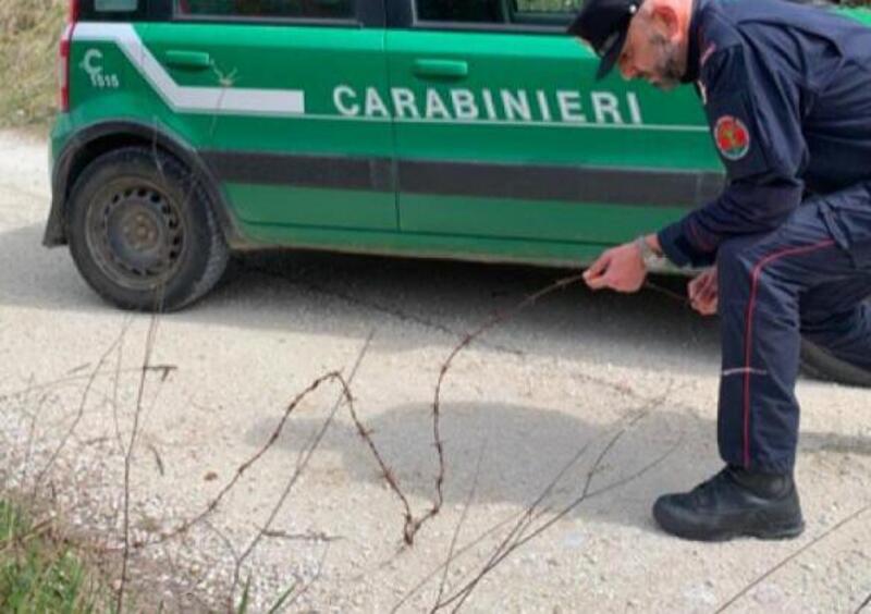 Spoleto: trappole col filo spinato per motociclisti e ciclisti. 65enne denunciato